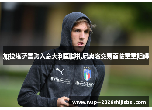 加拉塔萨雷购入意大利国脚扎尼奥洛交易面临重重阻碍 加拉塔萨雷购入意大利国脚扎尼奥洛交易面临重重阻碍
