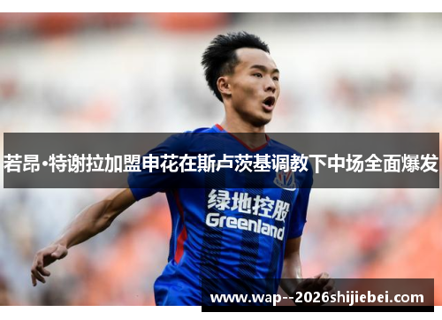 若昂·特谢拉加盟申花在斯卢茨基调教下中场全面爆发 若昂·特谢拉加盟申花在斯卢茨基调教下中场全面爆发