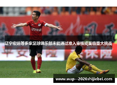 辽宁宏运等多家足球俱乐部未能通过准入审核或面临重大挑战