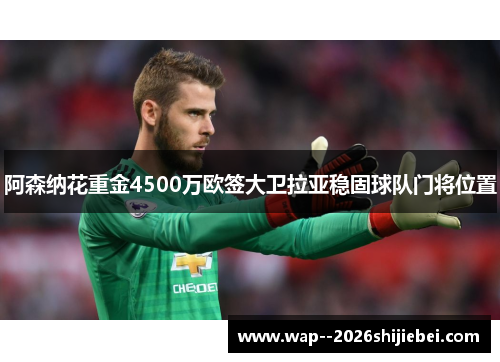 阿森纳花重金4500万欧签大卫拉亚稳固球队门将位置